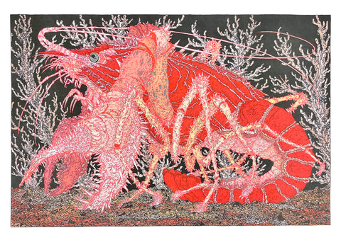 Clément Vuillier - Crayfish