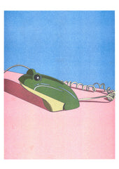 Ana Popescu - Crusader Frog Phone