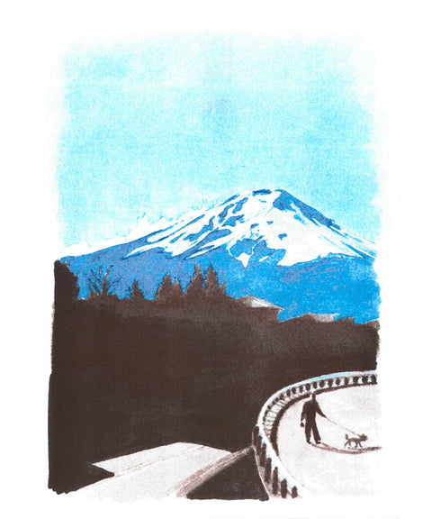 Goo ltd - Dans le train retour de Fujikawaguchiko, 2009