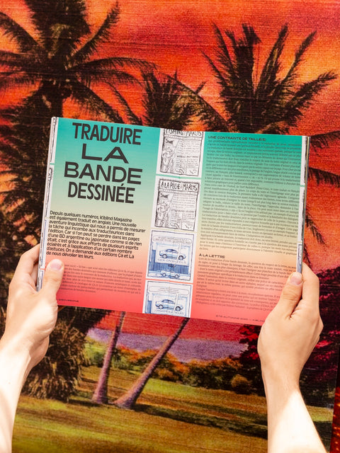 Abonnement Pro (France)