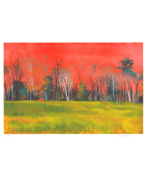 Maïté Grandjouan-red landscape